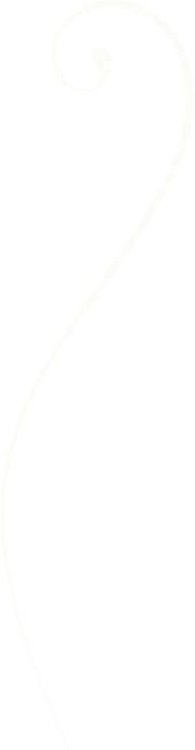 Your Store Logo